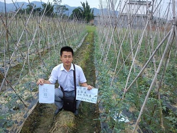 北京星朋:<em>田阳圣女果</em>种植户喜爱高维露_化肥综
