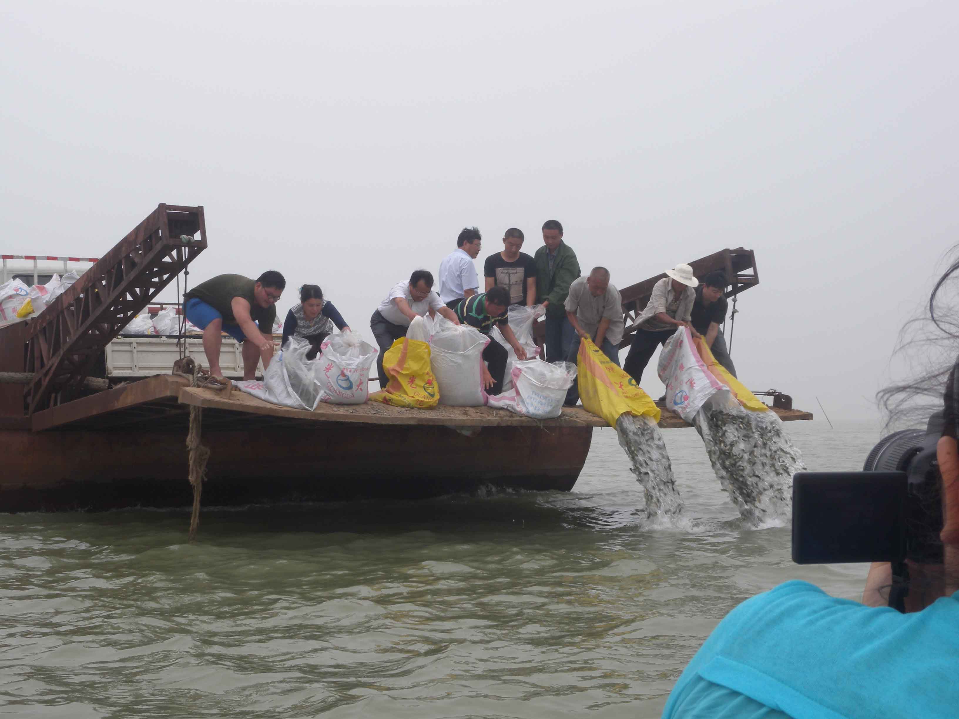 东平县圆满完成2014年东平湖增殖放流任务_行业资讯_中国水产信息网