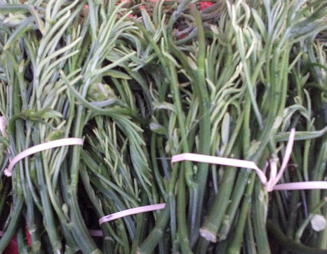 云南孟定镇“帕哈菜”受青昧_各地动态_中国水果蔬菜网