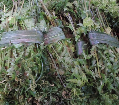 云南孟定镇野生“水蕨菜”进入上市旺季,茶叶资讯,茶叶新闻,茶叶行情,茶农新闻,茶叶政策,茶叶展会活动,中国茶厂网