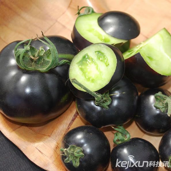 西红柿树图片大全大图西红柿图片大全大图桔子品种大全大图_人人读书网