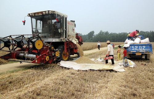 收入证明_麦客收入(2)