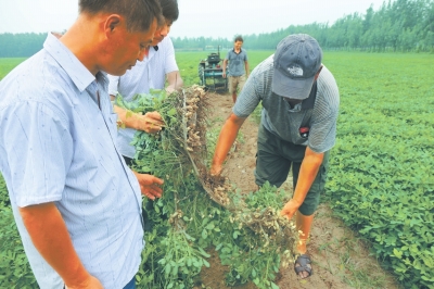 淮阳县劳动人口现状_劳动最光荣手抄报(3)